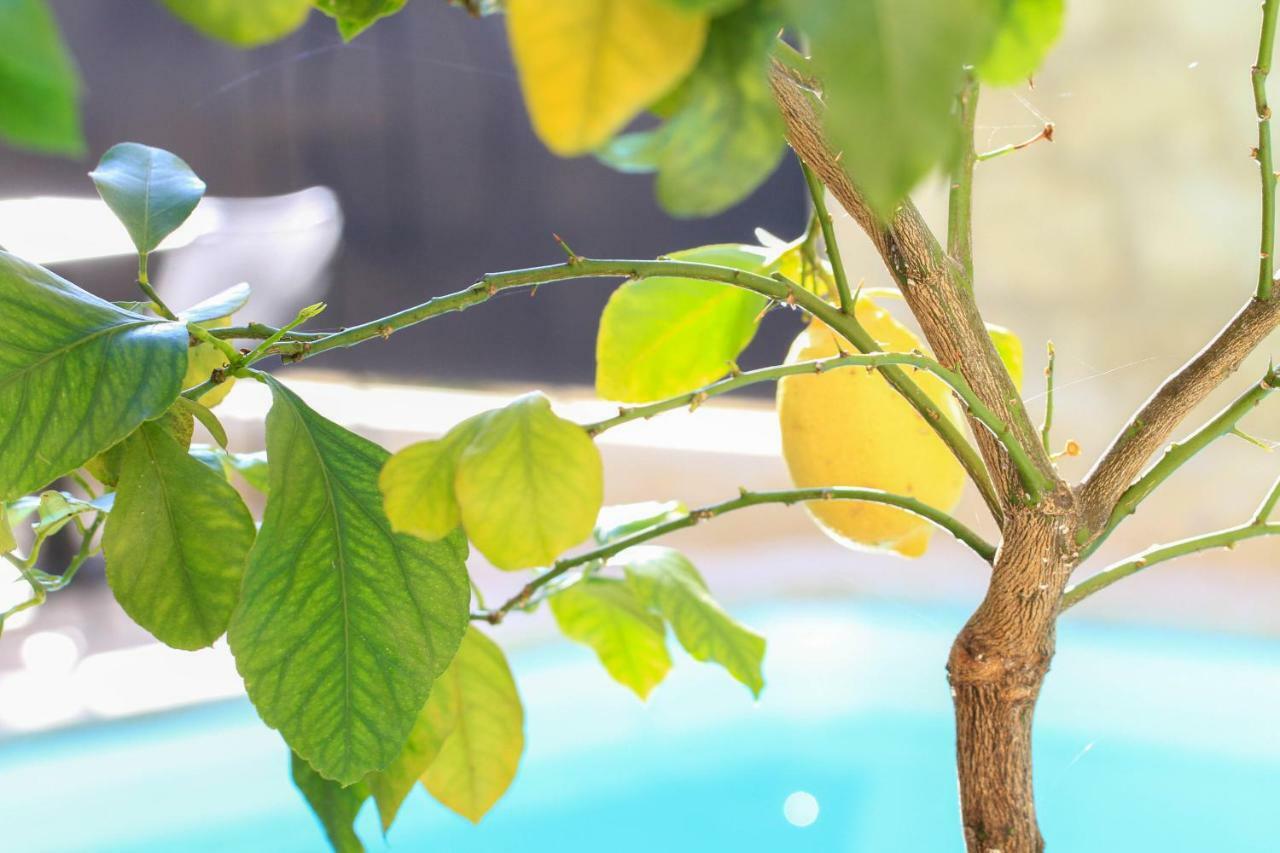L'Hotel Particulier Guilhon Lectoure Ngoại thất bức ảnh